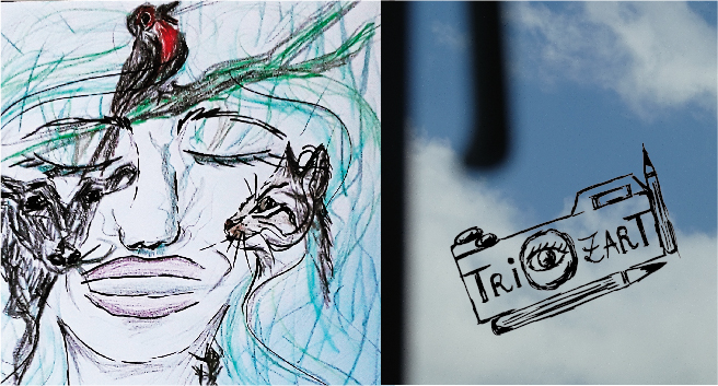 Dessin et photographie de TrioZart