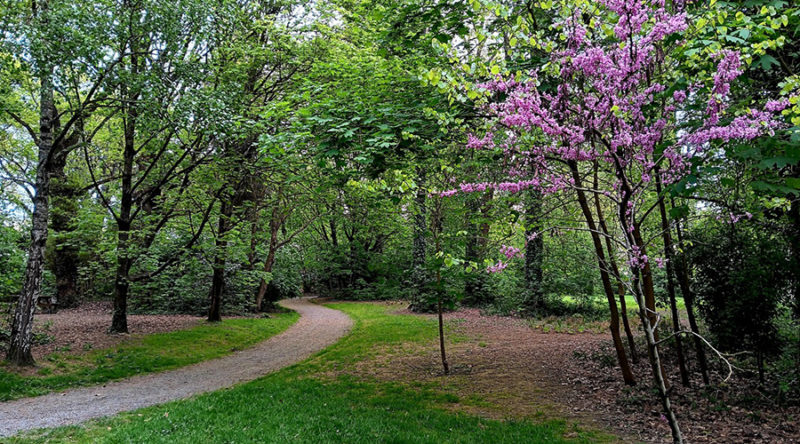 Ballade découverte de la faune et de la flore au parc Marc Sangnier