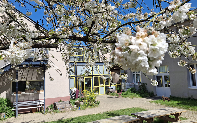 jardin regain